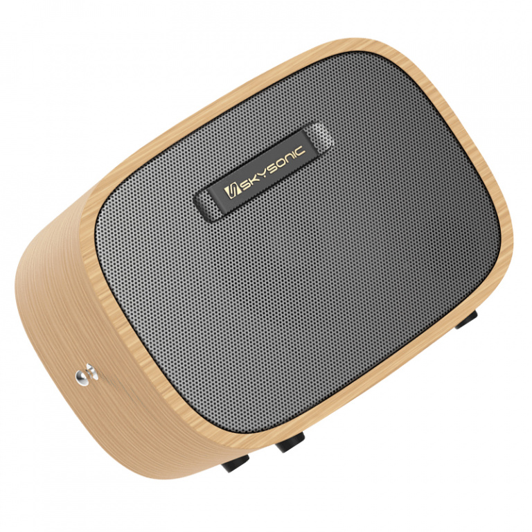 Skysonic S1 AC40 Acoustic Guitar Amplifier Bluetooth Speaker LEEN