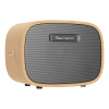 Skysonic S1 AC40 Acoustic Guitar Amplifier Bluetooth Speaker