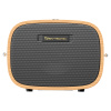 Skysonic S1 AC40 Acoustic Guitar Amplifier Bluetooth Speaker - Image 4