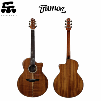 Brook V12 Acoustic Guitar - LEEN MUSIC SHOP