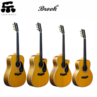 Brook V12 Acoustic Guitar