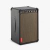 Positive Grid Spark LIive 4-Channel Smart Amp & PA System - Image 3